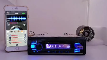 Автомобильный MP3-аудио Bluetooth FM-радио с фиксированной панелью и Aux USB SD/TF